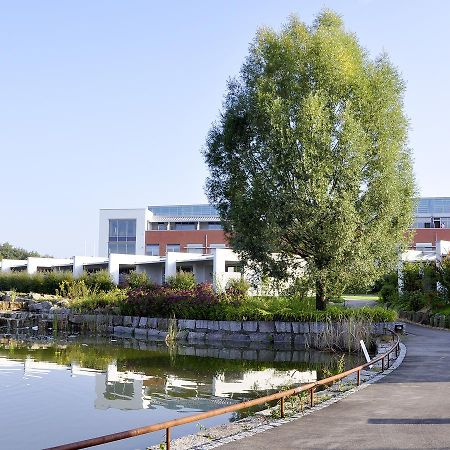 Seminarhotel In Der Manfred-Sauer-Stiftung Lobbach ภายนอก รูปภาพ