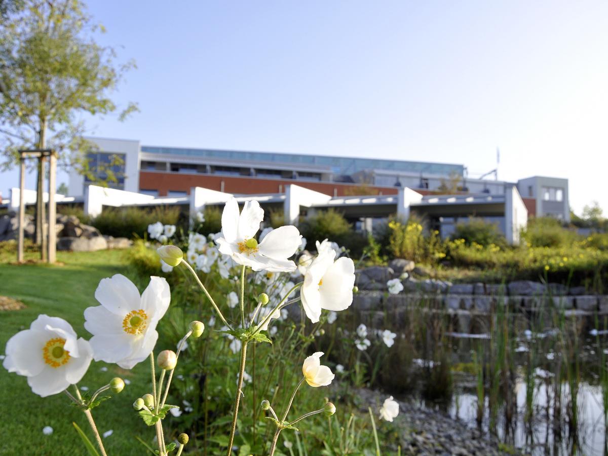 Seminarhotel In Der Manfred-Sauer-Stiftung Lobbach ภายนอก รูปภาพ